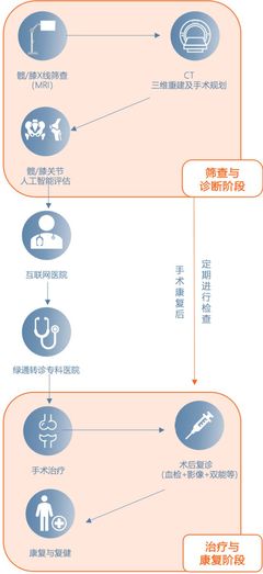 骨健康 AI一目了然 科技與教育并驅(qū)，健康未來零距離